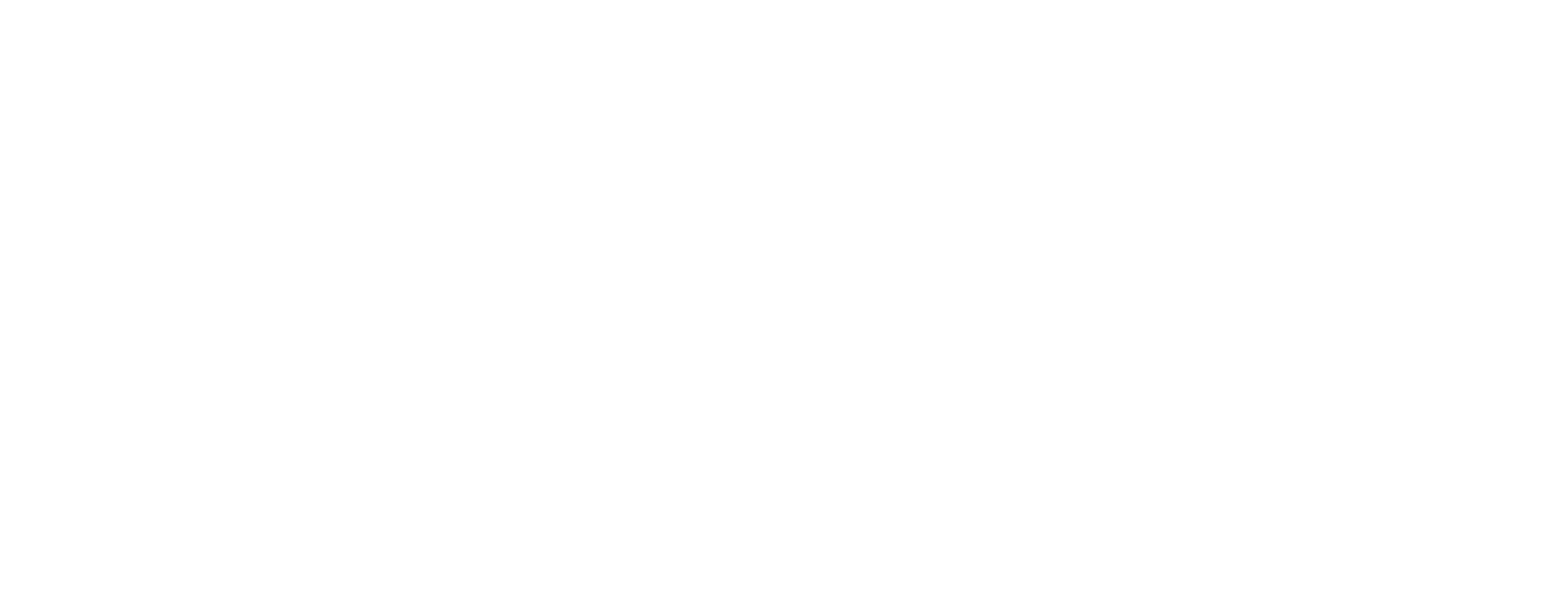 LionRep logo